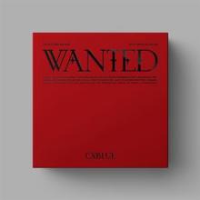 CNBLUE  - CD WANTED -PHOTOBOO-