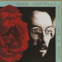 COSTELLO ELVIS  - CD MIGHTY LIKE A ROS..