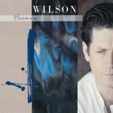 WILSON BRIAN  - CD BRIAN WILSON