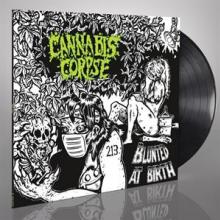  BLUNTED AT BIRTH (RE-ISSUE) [VINYL] - supershop.sk