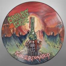  TUBE OF THE RESINATED (RE-ISSUE) (PICTURE DISC) - supershop.sk