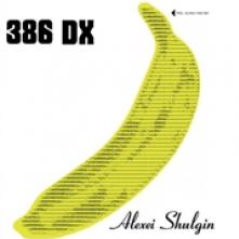 SHULGIN ALEXEI/386 DX  - VINYL BIGGEST SMASH HITS [VINYL]