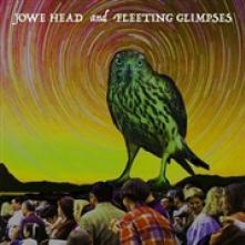 HEAD JOWE & FLEETING GLI  - SI ROTTEN WOOD / PABLO.. /7