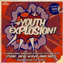 VARIOUS  - VINYL IT'S A YOUTH EXPLOSION!.. [VINYL]