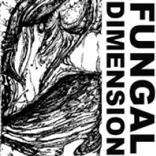FUNGAL DIMENSION  - VINYL DECONICA / PHELLINUS [VINYL]
