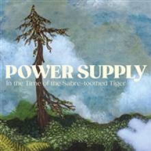 POWER SUPPLY  - VINYL IN THE TIME OF THE.. [VINYL]