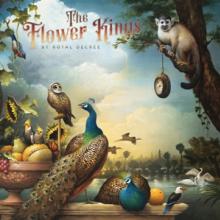 FLOWER KINGS  - CD BY ROYAL DECREE