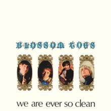 BLOSSOM TOES  - 3xCD WE ARE EVER SO CLEAN - 3CD