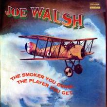 WALSH JOE  - VINYL SMOKER YOU DRINK,.. -HQ- [VINYL]