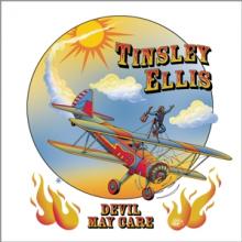 ELLIS TINSLEY  - CD DEVIL MAY CARE