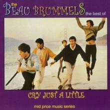 BEAU BRUMMELS  - CD CRY JUST A LITTLE