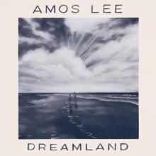 LEE AMOS  - VINYL DREAMLAND [VINYL]