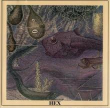 HEX  - 2xVINYL HEX /140GR [VINYL]