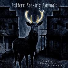 PATTERN-SEEKING ANIMALS  - 3xVINYL ONLY PASSING..