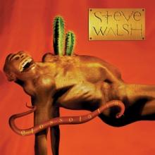 WALSH STEVE  - CD GLOSSOLALIA