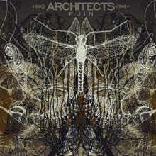 ARCHITECTS  - VINYL RUIN [VINYL]