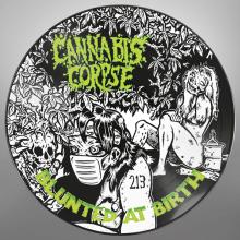  BLUNTED AT BIRTH (RE-ISSUE) (PICTURE DISC) - suprshop.cz