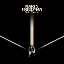 FRIEDMAN MARTY  - VINYL WALL OF SOUND [VINYL]