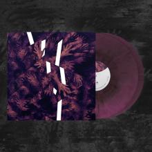  RIEN NE SUFFIT (PURPLE/BLACK GALAXY EFFECT VINYL) [VINYL] - supershop.sk