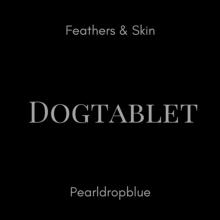 DOGTABLET  - 2xCD FEATHERS &..