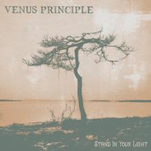 VENUS PRINCIPLE  - CD STAND IN YOUR LIGHT