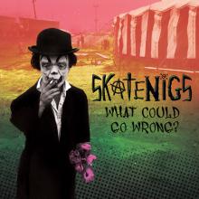 SKATENIGS  - CD WHAT COULD GO WRONG?