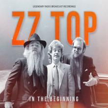 ZZ TOP  - CDB IN THE BEGINNING (6-CD SET)