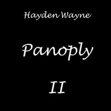 WAYNE HAYDEN  - 4xCD PANOPLY II