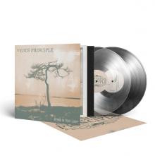  STAND IN YOUR LIGHT (CLEAR VINYL) [VINYL] - suprshop.cz