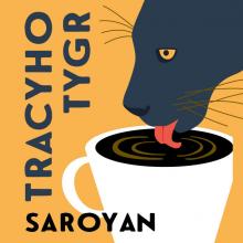  TRACYHO TYGR (MP3-CD) - supershop.sk