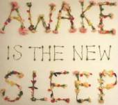 LEE BEN  - CD AWAKE IS THE NEW SLEEP