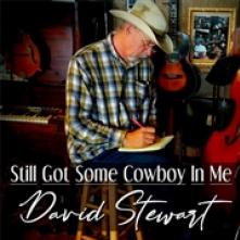 STEWART DAVID  - CD STILL GOT SOME COWBOY..