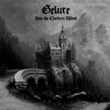 GELURE  - CDD INTO THE CHESFERN WOOD (LTD.DIGI)