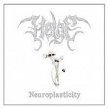 HELGE  - CD NEUROPLASTICITY