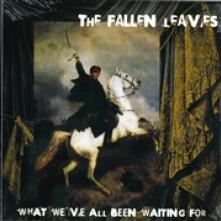 FALLEN LEAVES  - CD WHAT WE'VE ALL BEEN..