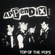 APPENDIX  - VINYL TOP OF THE POPS [VINYL]