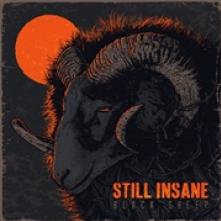 STILL INSANE  - CD BLACK SHEEP