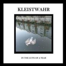 KLEISTWAHR  - CD IN THE GUTS OF A YEAR