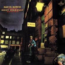 BOWIE DAVID  - VINYL RISE AND FALL ..
