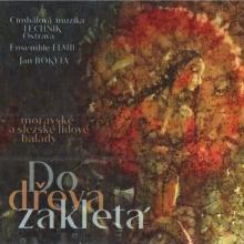 CM TECHNIK & FLAIR ENSAMBLE  - 2xCD DO DREVA ZAKLETA