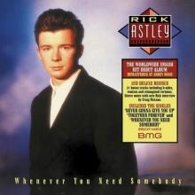 ASTLEY RICK  - 2xCD WHENEVER YOU NE..