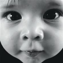 VANWYMEERSCH WOLF  - CD EARLY YEARS