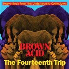  BROWN ACID: THE 14TH TRIP [VINYL] - suprshop.cz