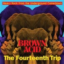 VARIOUS  - CD BROWN ACID: THE 14TH TRIP