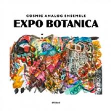 COSMIC ANALOG ENSEMBLE  - VINYL EXPO BOTANICA [VINYL]