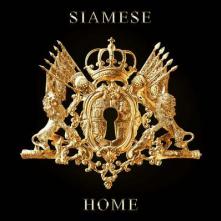 SIAMESE  - CD HOME