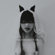 SYLVIAN DAVID  - CD SLEEPWALKERS