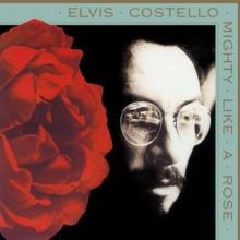 COSTELLO ELVIS  - VINYL MIGHTY LIKE A ROSE [VINYL]