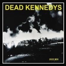 DEAD KENNEDYS  - VINYL 