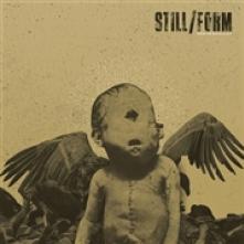 STILL/FORM  - CD FROM THE ROT IS A GIFT